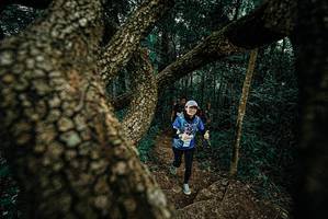 BIB: 
                            <button type="button" onclick="openModal(25696499)" class="btn btn-primary btn-sm float-right btn-popup" data-toggle="modal" data-target=".modal-high-quality">
                        <i class="fas fa-shopping-cart"></i> Add to Cart
                    </button>
                                            <button type="button" onclick="isThisMe(25696499, true)" class="btn btn-success btn-sm float-right btn-popup btn-isme hidden" data-toggle="tooltip" data-placement="bottom" title="นี่คือรูปของคุณใช่ไหม คลิกที่นี่เพื่อเอาเข้าอัลบั้ม">
                        <i class="fas fa-plus"></i> Add to album
                    </button>
                    <button type="button" onclick="isThisMe(25696499, false)" class="btn btn-warning btn-sm float-right btn-popup btn-isnotme hidden">
                        <i class="fas fa-ban"></i> Remove from album
                    </button>